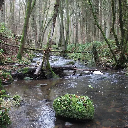 Herrenmühle Apartment Freudenburg (Rhineland-Palatinate)