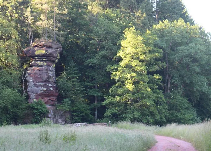 Gaestehaus Herrenmuehle アパート Freudenburg (Rhineland-Palatinate)