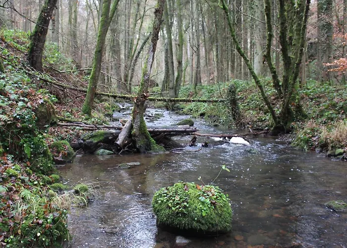 Gaestehaus Herrenmuehle アパート Freudenburg (Rhineland-Palatinate)