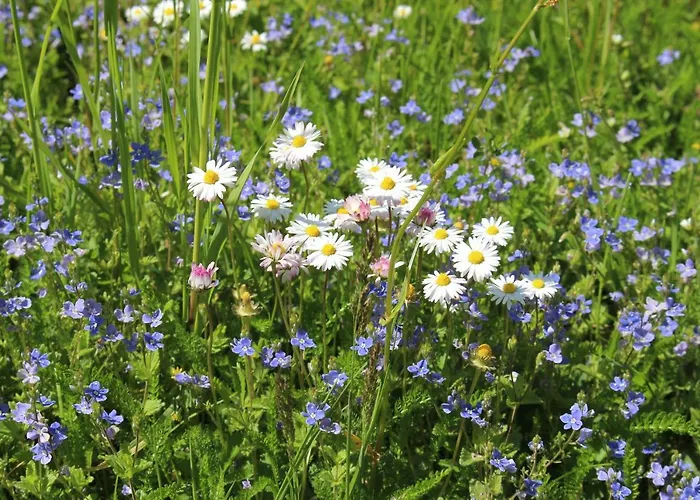 Gaestehaus Herrenmuehle アパート