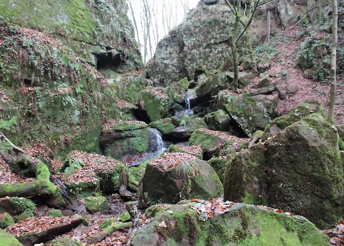 Gaestehaus Herrenmuehle アパート *